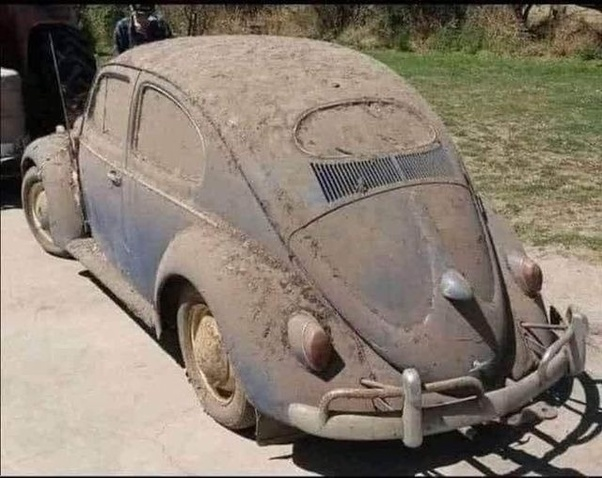Volkswagen_Beetle